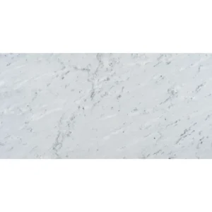 Full frontal shot of the Eterna Bianco tile surface, presenting subtle gray patterns and a smooth honed texture.