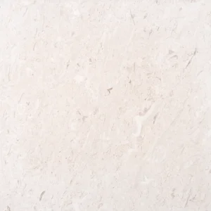 Top view of Myra Beige 24x24 honed limestone tile with soft fossil pattern and natural beige tones