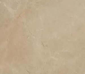 royal beige tile