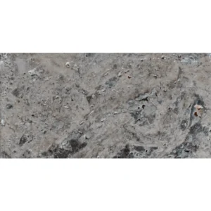 Silver Tumbled Travertine Paver, 12" x 24" — overall product image in cool gray/taupe tones with blue-charcoal movement, tumbled matte surface and natural pits.